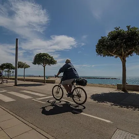 Vitaly * Cambrils